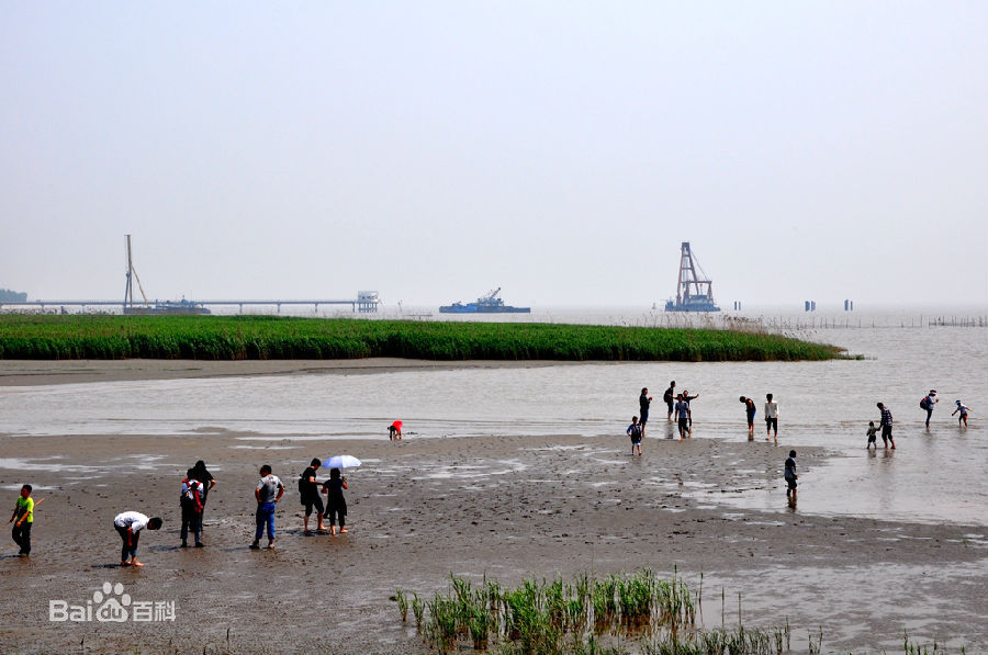 上海崇明区经济开发区